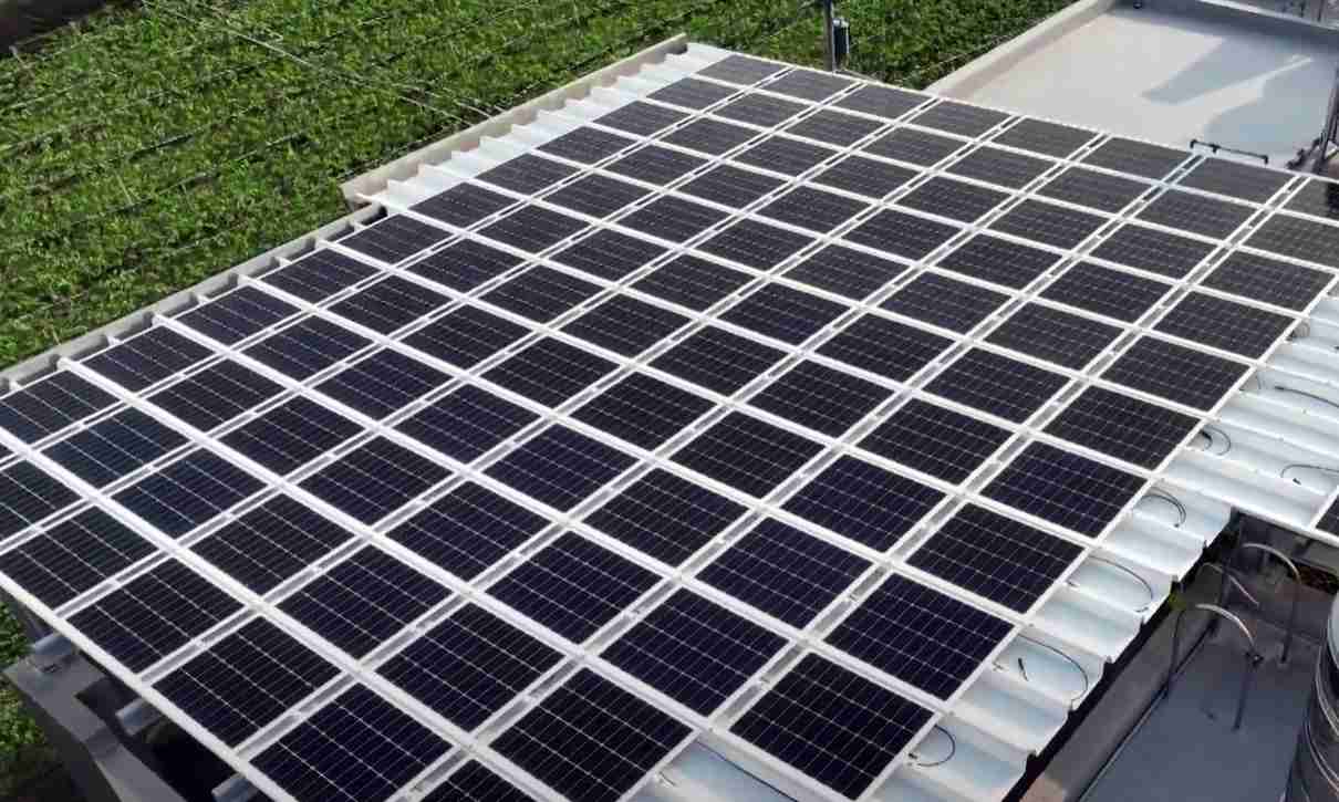 牛牛游戏SunSteel光电浪板升级双玻结构，，，以提升机械负载强度及气候耐候度，，可广泛运用于多元场域